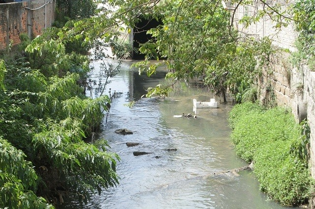 Trecho do Rio Criciúma no Bairro Santa Bárbara / Foto: Guilherme Hahn / Especial / 4oito