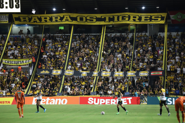 Foto: Celso da Luz/Criciúma