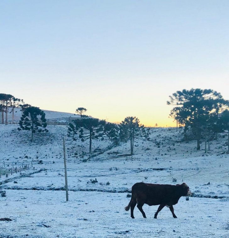 Neve em Bom Jardim da Serra / Foto: Otílio Paulo Miranda / Especial / 4oito