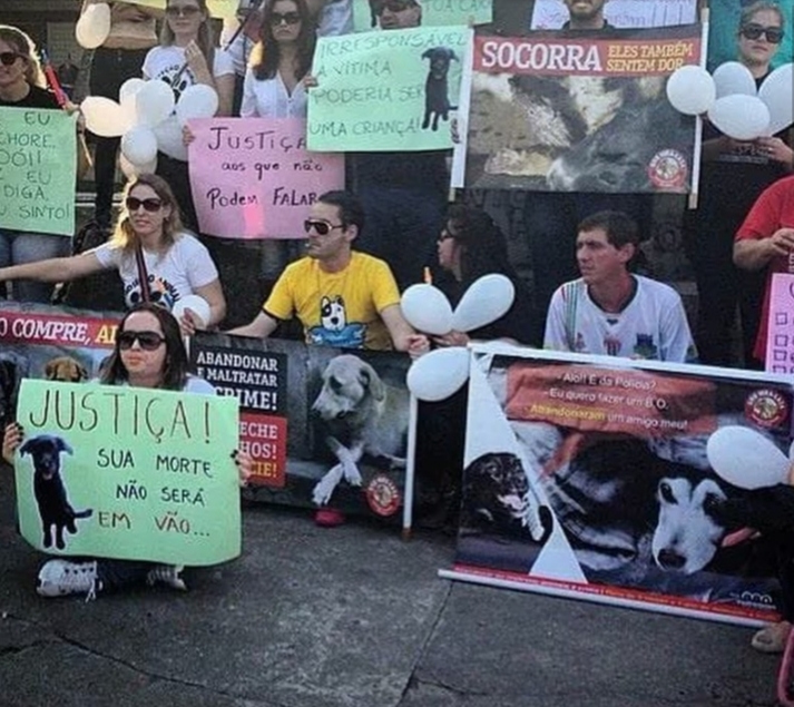 ONG SOS Vira Lata promoveu um protesto quando da morte de Pulga por envenenamento / Divulgação