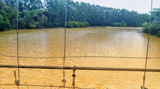 Rio Cubatão em Palhoça, na Grande Florianópolis / Divulgação