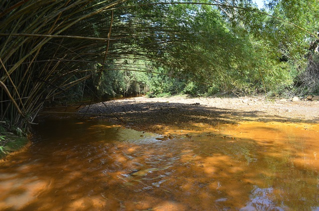 A nascente do Rio Urussanga / Divulgação