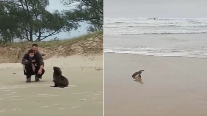 Foto: Paraiso das Raízes/ Redes sociais