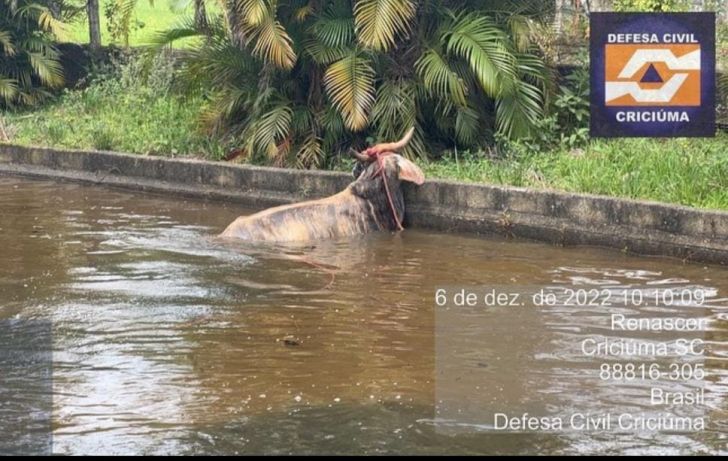 Foto: Divulgação/ Defesa Civil