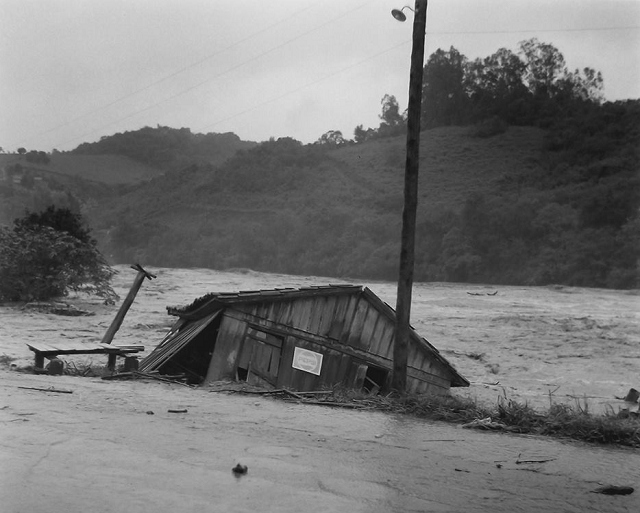 Fotos: Divulgação