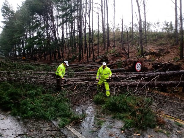 PMRv atua com apoio de voluntários na SC-418 km 39, em Campo Alegre. Foto: Divulgação / PMRv