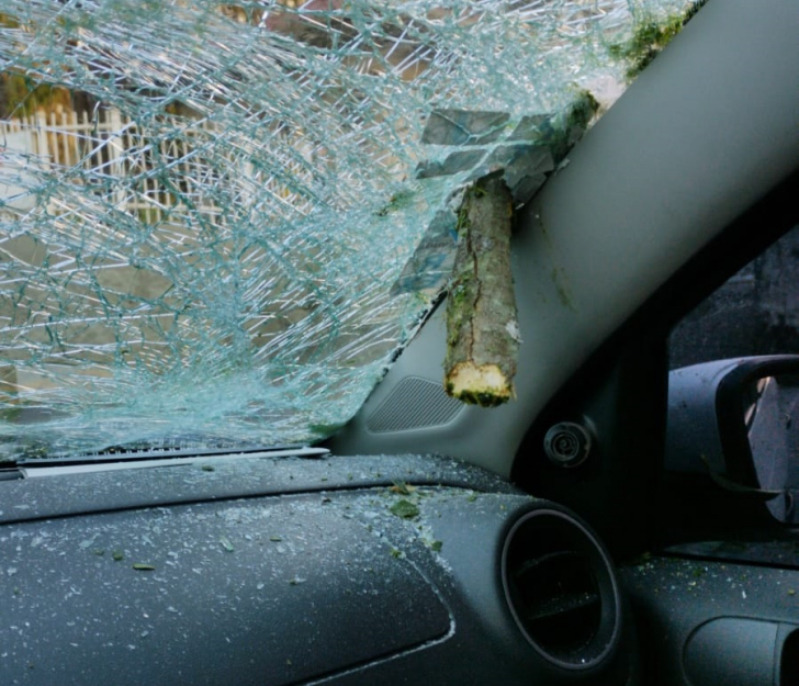 Carro atingido por árvore em Cocal do Sul / Divulgação