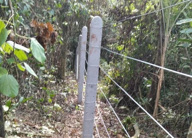 Cerca começou a ser colocada no Morro do Céu em dezembro / Foto: Jurandir Bittencourt