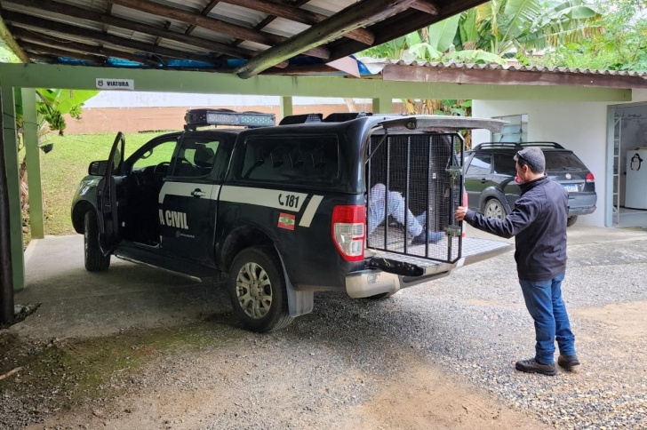 Foto: Divulgação/Polícia Civil