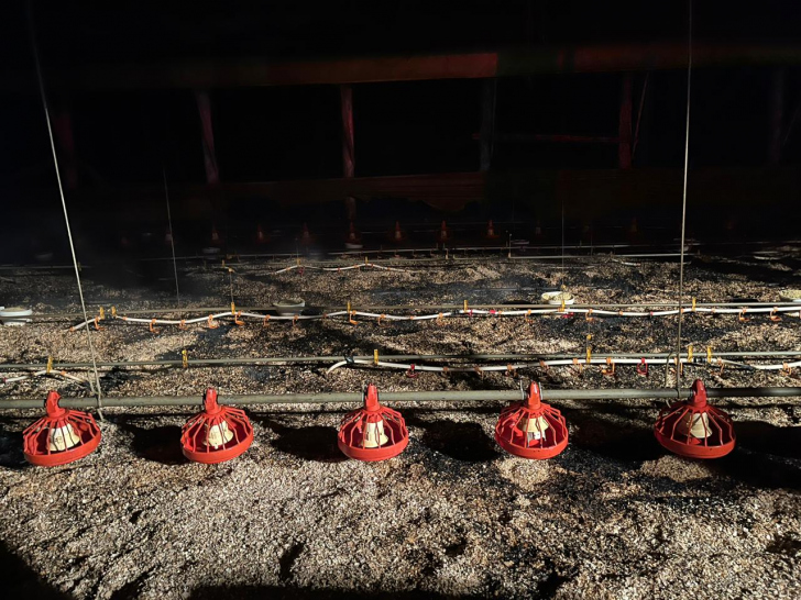 Foto: Corpo de Bombeiros/ Divulgação