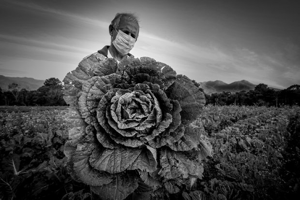 Registro do agricultor Edésio Voges rendeu prêmio ao fotógrafo catarinense