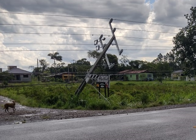 Um dos postes caídos na SC-285, entre Turvo e Ermo / Divulgação