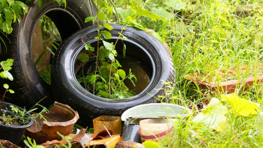 Notícia - Criciúma em alerta contra a dengue: ações visam evitar o aedes aegypti