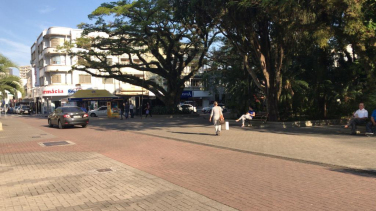 Notícia - Famcri inicia Semana do Meio Ambiente neste sábado na Praça Nereu Ramos