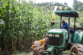 Notícia - Prefeitura de Lauro Müller apoia agricultores na produção de silagem