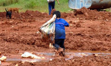 Notícia - Brasil tem bons indicadores, mas ainda é foco de exploração infantil