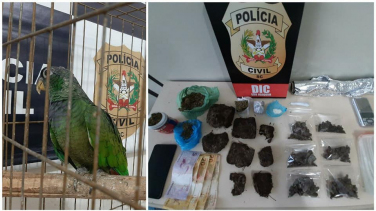 Notícia - Homem é preso com drogas e aves em São Joaquim 