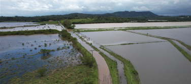 Notícia - Em dois meses, prejuízo na agricultura ultrapassou R$ 350 milhões no Sul