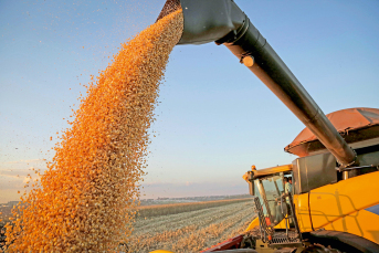 Notícia - Semana do Conhecimento Agro debate temas relacionados à tecnologia e gestão 