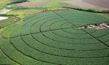 Notícia - Conab estima safra de grãos 2021/2022 em 289,6 milhões de toneladas