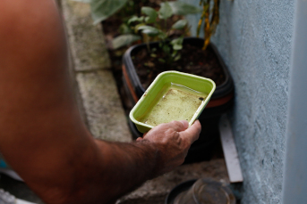 Notícia - Região tem 151 casos prováveis de dengue no ano; SC decretará emergência