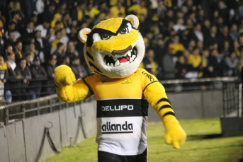 Notícia - Mascote do Criciúma é suspenso por 30 dias