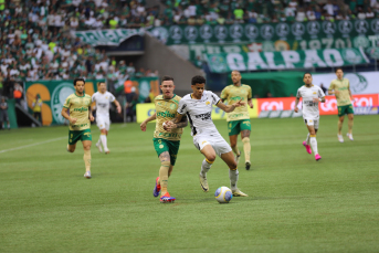 Notícia - Em atuação desastrosa, Criciúma sofre goleada de 5 a 0 do Palmeiras