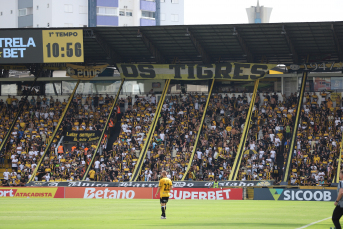 Notícia - É campeão! Tigre vence e inicia 2025 com título