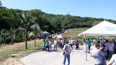 Notícia - Evento celebra os 28 anos da Epagri