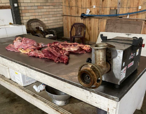 Notícia - Fake: Carne de cachorro para consumo humano em Morro da Fumaça