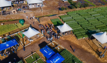 Notícia - Campo Agroacelerador da Cooperja estimula a diversificação no campo