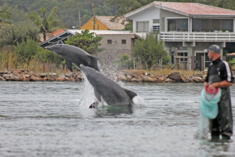 Notícia - Grupo de Trabalho do Boto Pescador debate sustentabilidade na pesca artesanal