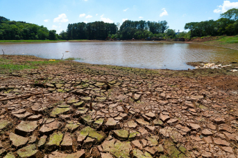 Notícia - Estado investe R$ 76,6 milhões para amenizar impactos da estiagem