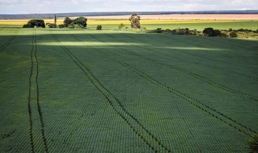 Notícia - Estudo aponta desafios do seguro rural em meio a mudanças climáticas