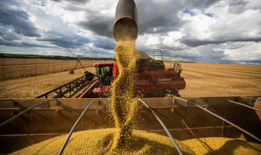 Notícia - Comércio exterior do agronegócio tem saldo de US$ 9,3 bi em fevereiro