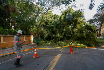 Notícia - Ciclone provoca ocorrências em 101 municípios de Santa Catarina