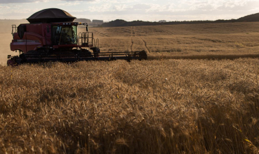 Notícia - Crédito rural sobe 18% em relação ao último semestre de 2019