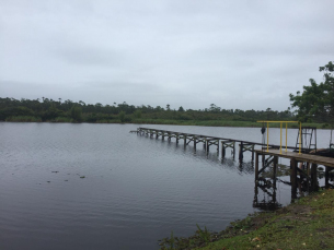 Notícia - Limpeza da Lagoa da Terneira é concluída