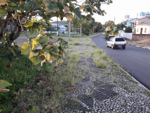 Notícia - Moradores reclamam de falta de manutenção na Praça do Trabalhador