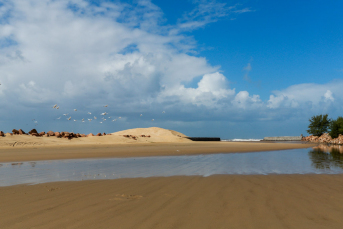 Notícia - A busca pelo desassoreamento da Barra do Camacho