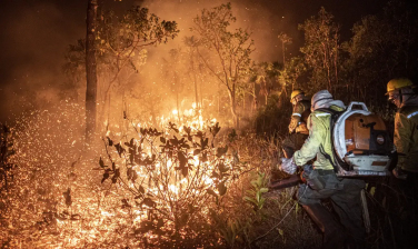 Notícia - Monitoramento mostra que 99% dos incêndios são por ação humana