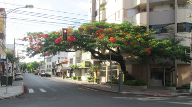 Notícia - Eleições: Em Criciúma, Av. Getúlio Vargas estará fechada até às 20h de domingo