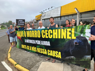 Notícia - ((Vídeo, áudio e fotos)) Moradores protestam contra desmatamento no Morro Cechinel