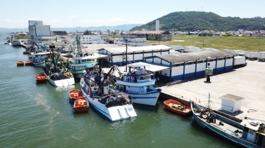 Notícia - Porto de Laguna com boas notícias aos pescadores 