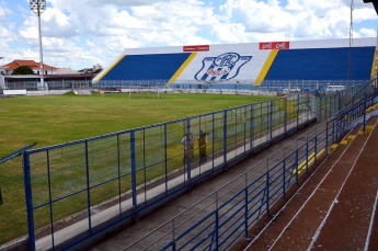 Notícia - Tigre estreia na Copa do Brasil daqui a duas semanas