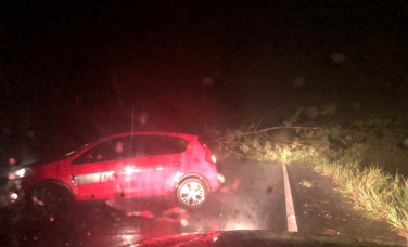 Notícia - Temporal causa queda de árvores e interdita rodovia em Sombrio