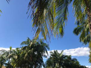 Notícia - Dia de sol entre nuvens após a chuva