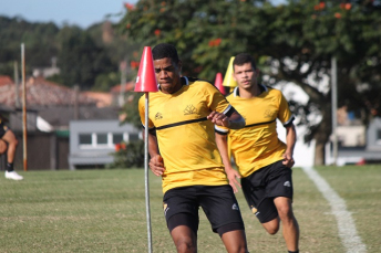 Notícia - Tigre tem sábado de treino em dois períodos