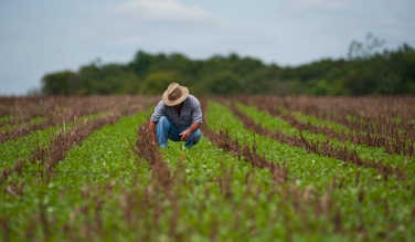 Notícia - Produtores têm até segunda para aderir ao Refis Rural