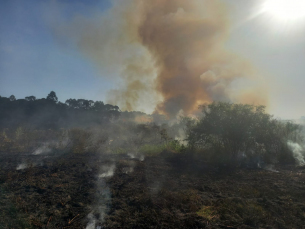 Notícia - Por quatro horas, bombeiros combatem incêndio de grandes proporções em vegetação 